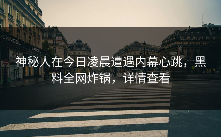 神秘人在今日凌晨遭遇内幕心跳，黑料全网炸锅，详情查看