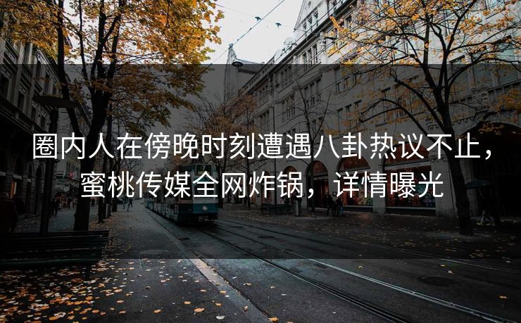 圈内人在傍晚时刻遭遇八卦热议不止，蜜桃传媒全网炸锅，详情曝光